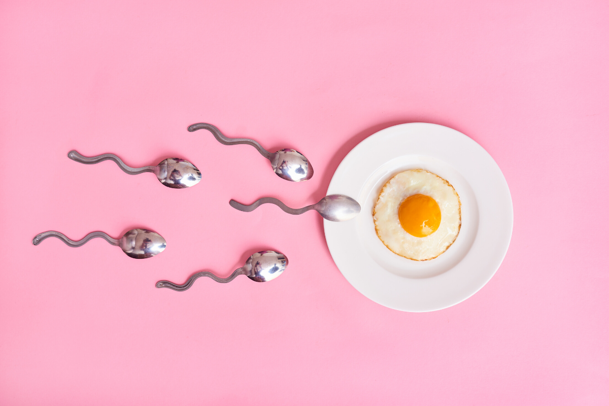 Ovulation and Getting Pregnant-Mother and Baby Shop