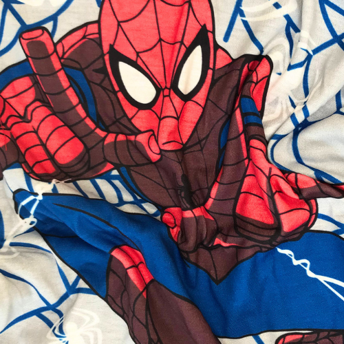 Spider Man Pajama Set 2 Pc