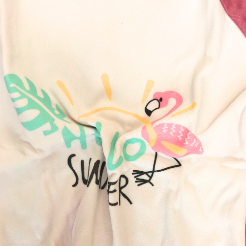 Pink Flamingo Pajama Set 2 Pc Light Fleece